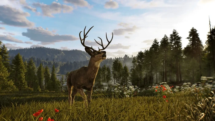 Way of the Hunter 2 (PC)