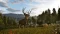 Way of the Hunter 2 (PC) Vorschaubild