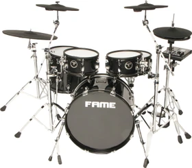Fame DD-1000 MS