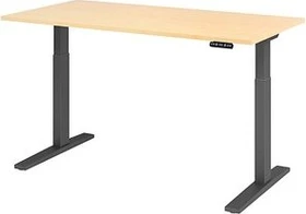 Hammerbacher Ergonomic Aktiv XMKA16 elektrisch höhenverstellbarer Sitz-Steh-Schreibtisch 160x80cm Ahorn/grau