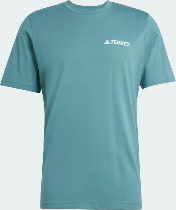 adidas Terrex Graphic T-Shirt kurzarm preloved teal (Herren)