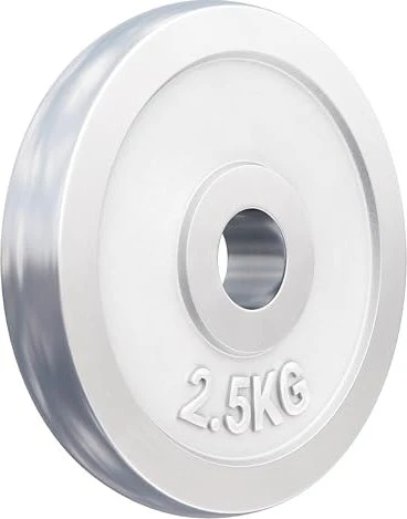 Gorilla Sports Chrom Hantelscheibe 2.5kg