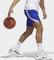 adidas Icon Squad Shorts royal blue/white (Herren) Vorschaubild
