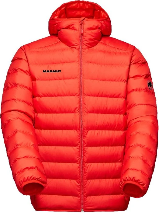 Mammut Waymarker IN Hooded Jacke (Herren)