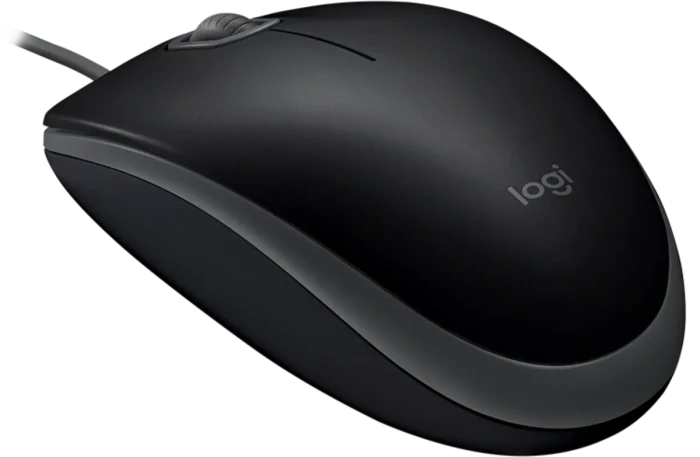 Logitech OEM B110 Silent Mouse schwarz, USB