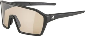 Alpina Ram Q-Lite V black matt/mirror silver-blue