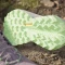adidas Terrex Trailmaker 2.0 GTX preloved fig/green spark/charcoal (Damen) Vorschaubild