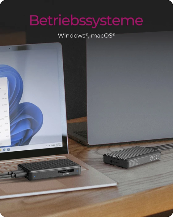 RaidSonic Icy Box IB-CR601M-C31, USB-C 3.1