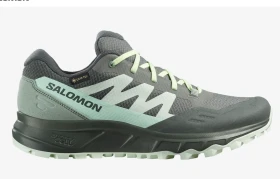 Salomon Outpath GTX sedona sage/clearly aqua/urban chic (Damen)