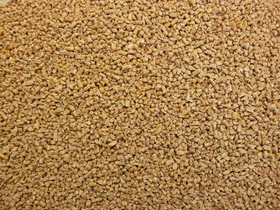 Deuka WZ Starter Wachtel- und Zierkükenfutter