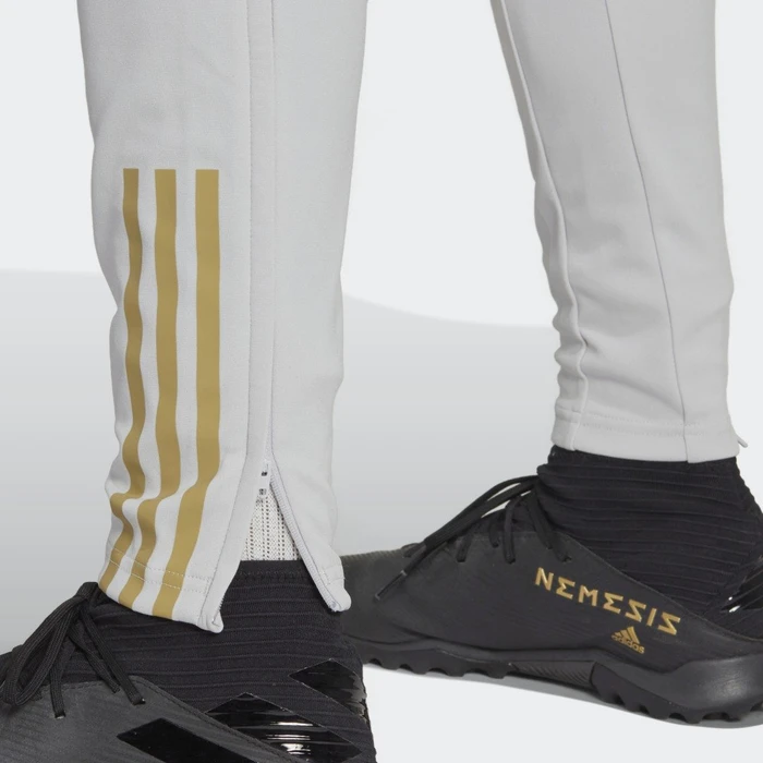 adidas Algerien Tiro 23 Trainingshose lang team light grey (Herren)