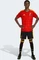 adidas FIFA WM 2026 Belgien Heimshorts (Herren) Vorschaubild