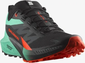 Salomon Sense Ride 5 black/bay/cherry tomato (Herren)