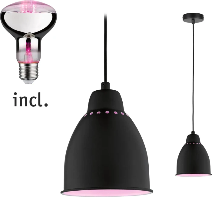 Paulmann Neordic Hilla Pendelleuchte + LED Pflanzenlampe E27 schwarz