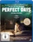 Perfect Days Vorschaubild