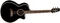 Takamine EF341SC Gloss Black Vorschaubild