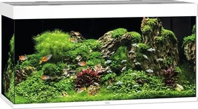 Juwel Rio 350 LED Aquarium-Set, weiß, 350l