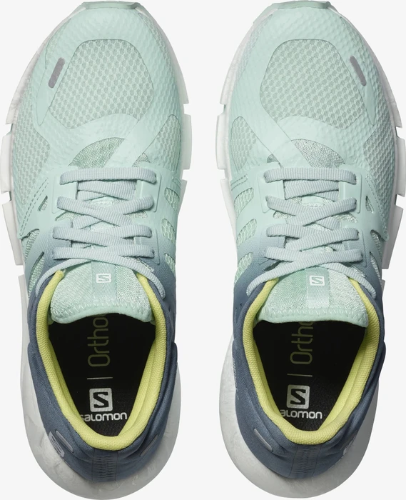 Salomon Predict 2 icy morn/copen blue/charlock (Damen)