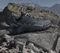adidas Terrex Skychaser Ax5 Gore-Tex core black/grey four/carbon (Herren) Vorschaubild