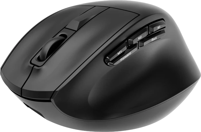 Gembird Triple-Mode 9-Button Wireless Ergonomic Mouse schwarz, USB/Bluetooth