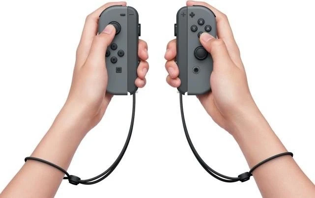Nintendo Switch (2019) schwarz/grau