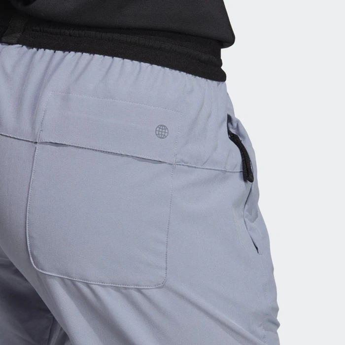adidas Terrex Liteflex Wander Hose lang silver violet (Damen)