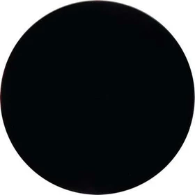 Berker R.1/R.3 Taste 1fach, schwarz