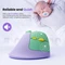 Seenda MOU-302, Vertical Wireless Mouse, schwarz, USB/Bluetooth Vorschaubild