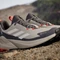 adidas Terrex Trailmaker 2.0 GTX wonder beige/wonder white/charcoal (Herren) Vorschaubild