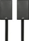 Polk Audio Monitor XT15, Paar Vorschaubild