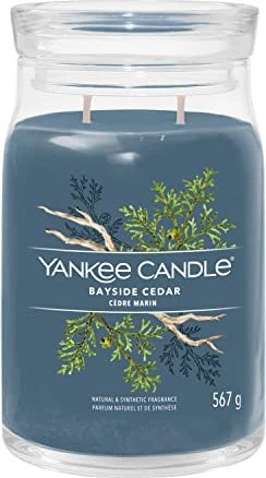 Yankee Candle Bayside Cedar Duftkerze