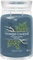 Yankee Candle Bayside Cedar Duftkerze Vorschaubild