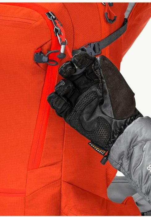 Jack Wolfskin Alpspitze Pack 22 wild brier