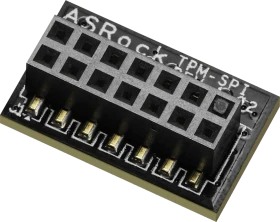 ASRock TPM-SPI Modul
