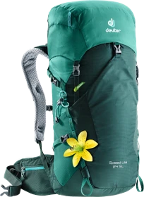 Deuter Speed Lite 24 SL forest/alpine green (Damen)