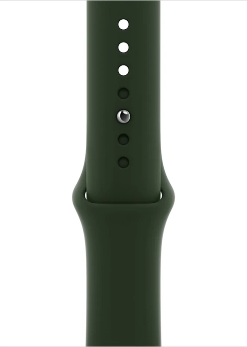 Apple Watch Series 6 (GPS + Cellular) 44mm Edelstahl gold mit Sportarmband zyperngrün