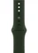 Apple Watch Series 6 (GPS + Cellular) 44mm Edelstahl gold mit Sportarmband zyperngrün Vorschaubild
