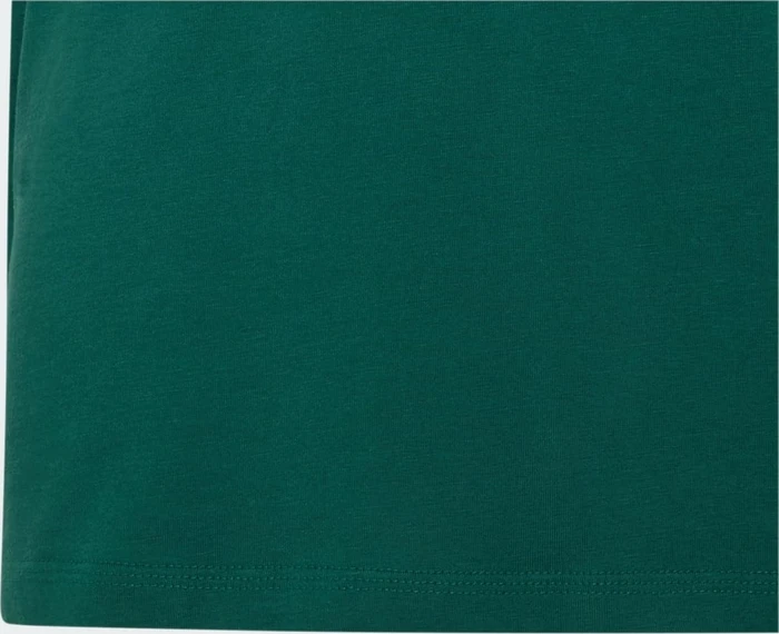 adidas Essentials T-Shirt kurzarm collegiate green/white (Junior)