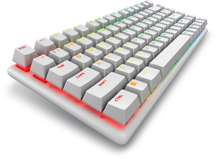 Dell Alienware Pro Wireless Gaming Keyboard, Lunar Light, 75%, LEDs RGB, hot-swap, Alienware Linear RED, USB/Bluetooth, US