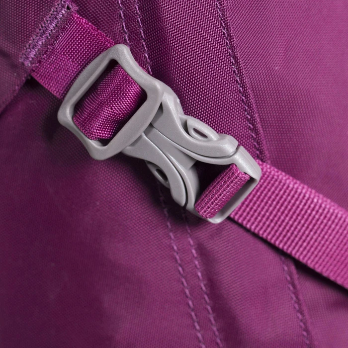 Osprey Daylite Plus 20 eggplant purple
