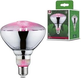 Paulmann Filament LED Reflektor Grow Green Pflanzenlampe E27 6.5W/313 PAR38