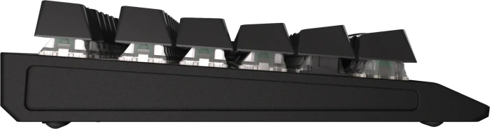 Wooting Two HE, LEDs RGB, Gateron Lekker Linear60, USB, US