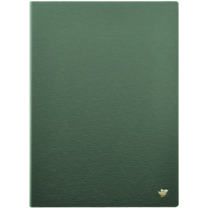 iFLYTEK Folio-Schutzhülle AINOTE 2, Kunstleder, grün