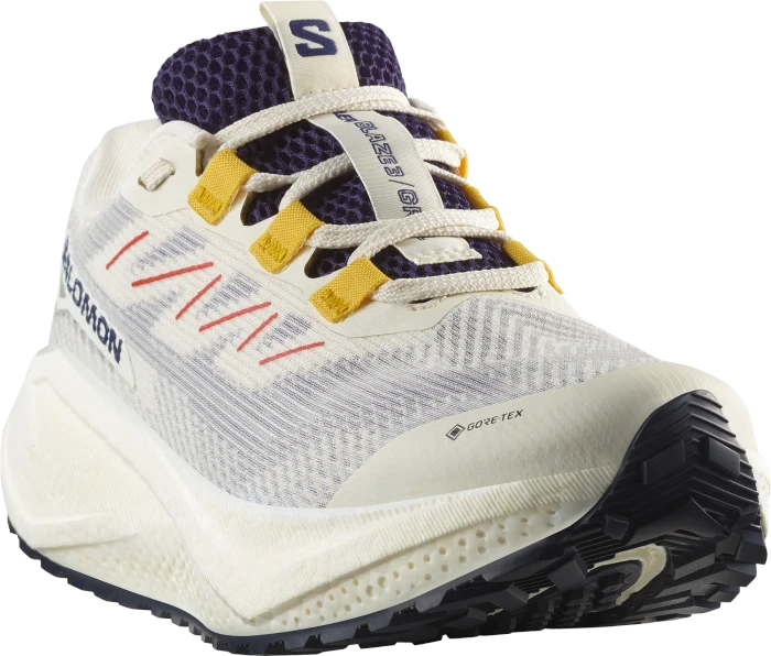 Salomon Aero Glide 3 GRVL GTX vanilla ice/astral aura/lemon (Damen)