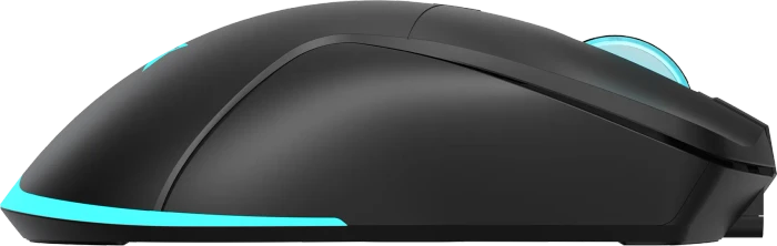 Baracuda Turtle Black Wireless Gaming Mouse, schwarz, USB