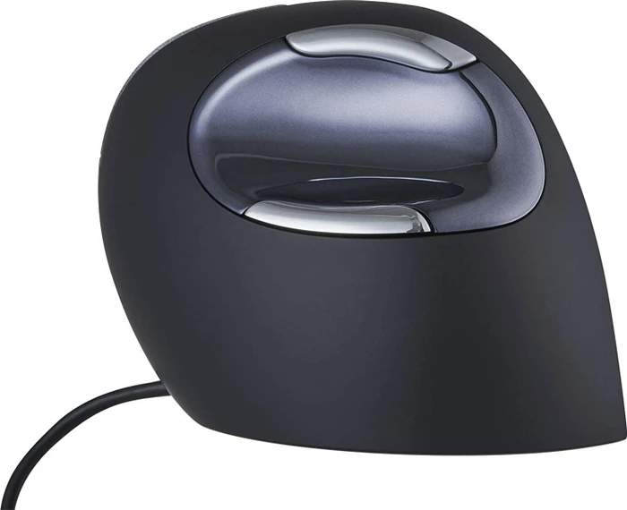 BakkerElkhuizen Evoluent D Vertikale Maus Rechts Large, USB