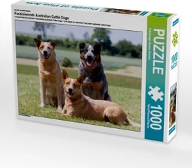 Calvendo Ein Motiv aus dem Kalender Faszinierende Australian Cattle Dogs