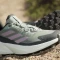adidas Terrex Trailmaker 2.0 GTX silver green/preloved fig/crystal jade (Damen) Vorschaubild