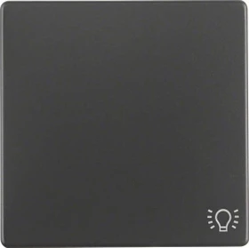 Berker Q.1/Q.3 Wippe mit Aufdruck Symbol für Licht, anthrazit samt