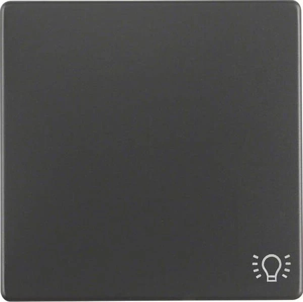 Berker Q.1/Q.3 Wippe mit Aufdruck Symbol für Licht, anthrazit samt